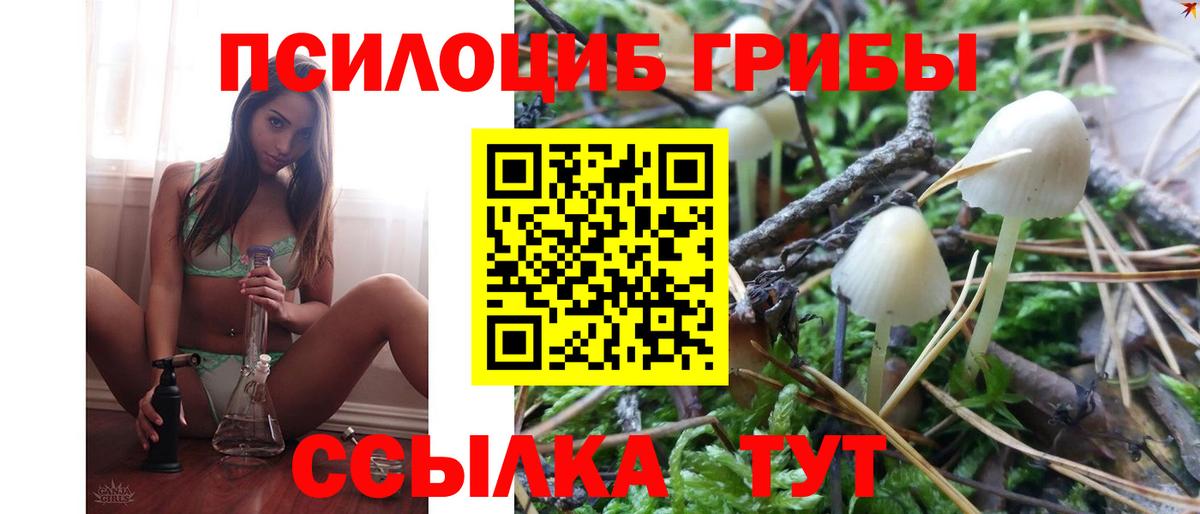Псилоцибиновые грибы Magic Shrooms  Вход с VPN  Туймазы 